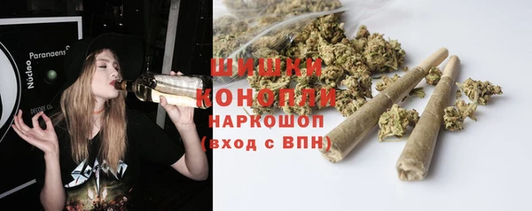 сатива Инсар