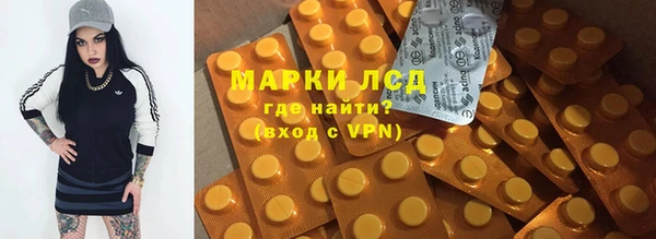 spice Инта