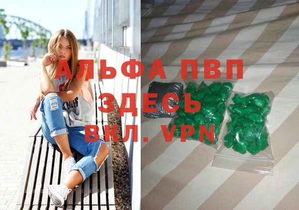 гашик Иннополис