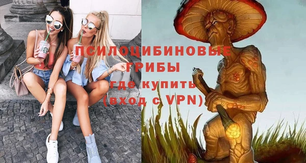 spice Инта