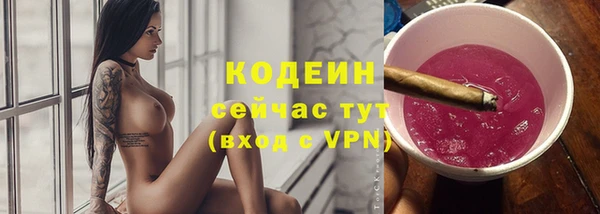 гашик Иннополис