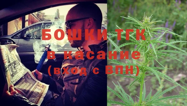 сатива Инсар