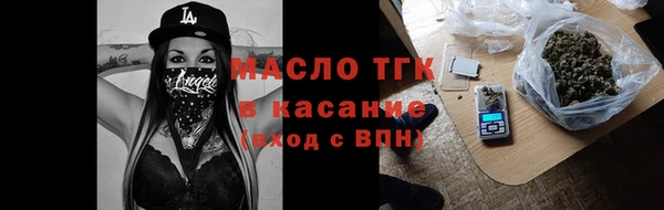 spice Инта