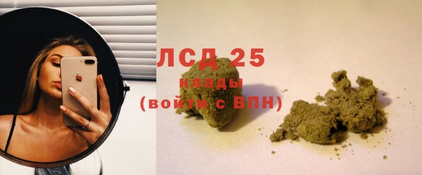 spice Инта