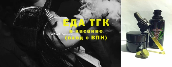 spice Инта