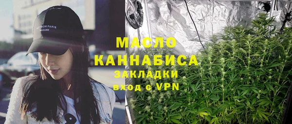 сатива Инсар