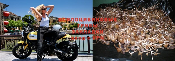 кокс Каменка