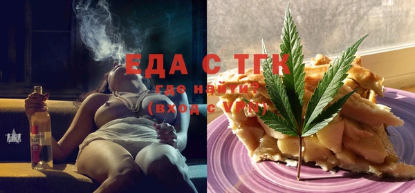spice Инта
