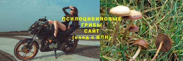 сатива Инсар