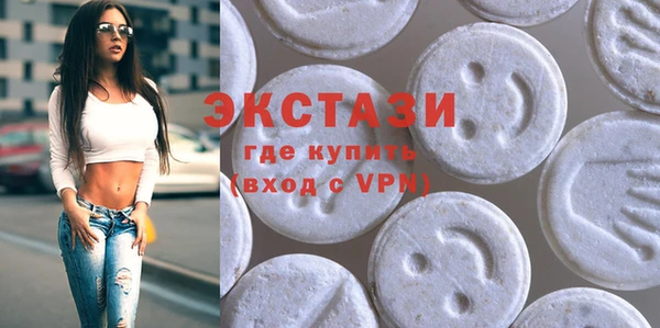 spice Инта