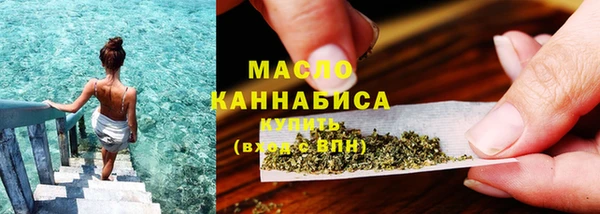 spice Инта