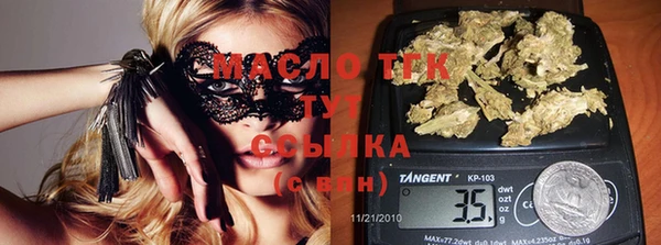 spice Инта