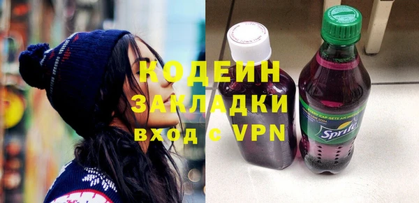 сатива Инсар