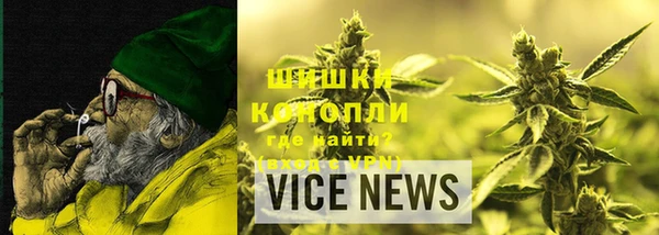 сатива Инсар