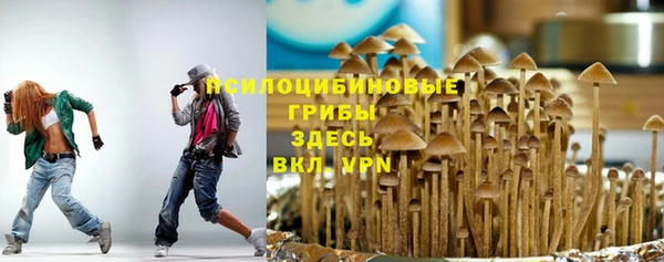 сатива Инсар