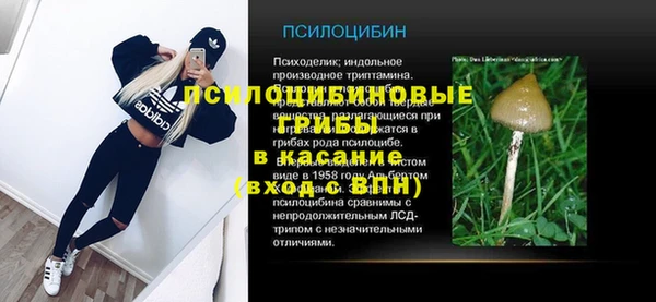 сатива Инсар