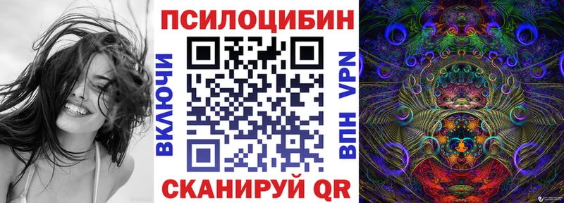 Купить где  Данков  Галлюциногенные грибы Magic Shrooms 
